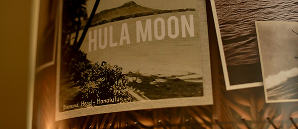 Hula Moon Decor